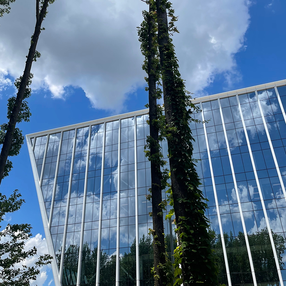 Blue sky and white clouds reflected in the glass windows of the IRMS Staten Island Office